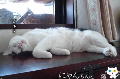 場所取りに忙しい一日_e0031853_12195179.jpg