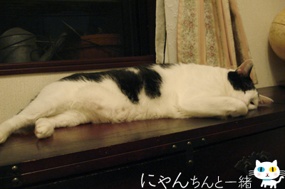 場所取りに忙しい一日_e0031853_12203755.jpg