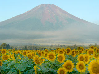 ＜2007年９月１－２日＞山中湖快気祝い・大月探訪　_c0119160_17491193.jpg