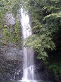 b0010882_11456.jpg
