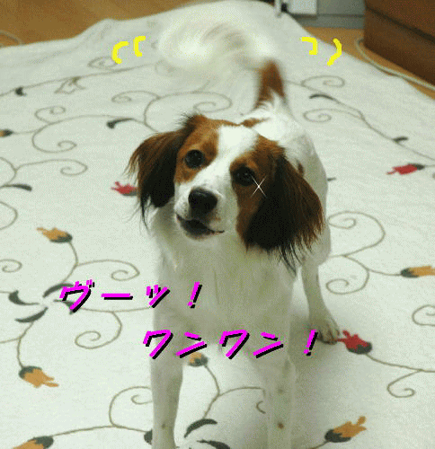 c0075585_23194157.gif