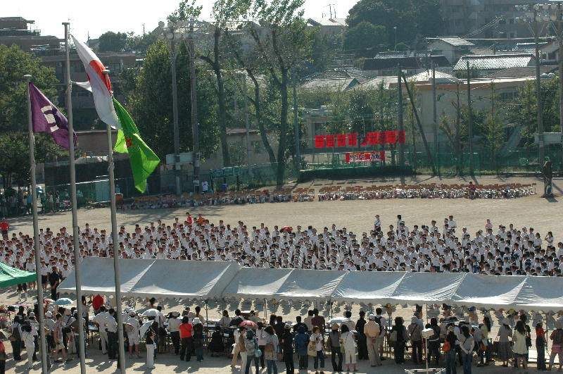 c0075585_23371527.jpg