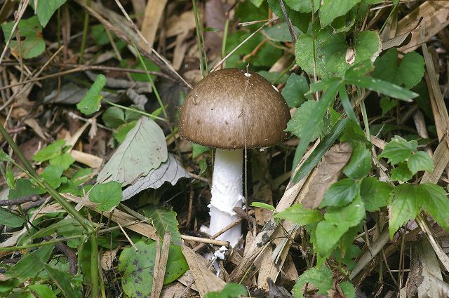 e0070891_20414314.jpg