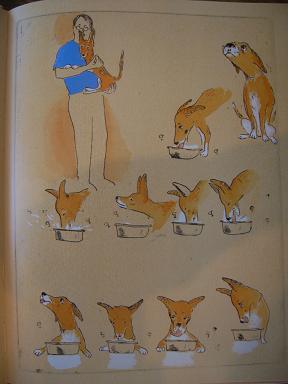 犬のルーカス_d0087595_19563792.jpg