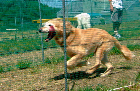 c0044199_236475.jpg