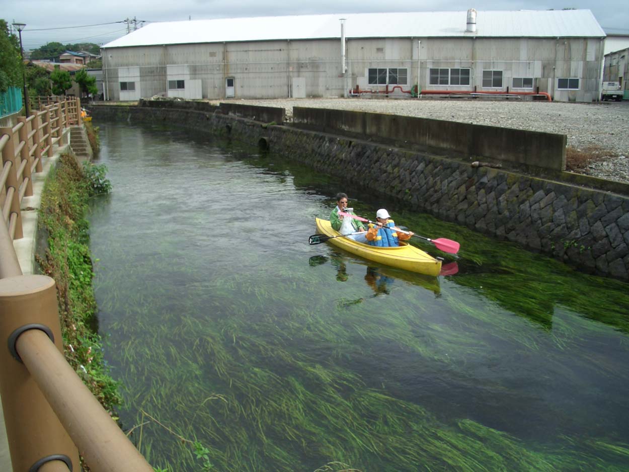 田宿川・滝川の川下り_f0141310_22573753.jpg