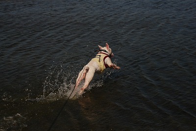 e0121418_1237518.jpg