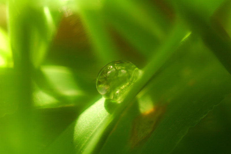 a0059621_093340.jpg