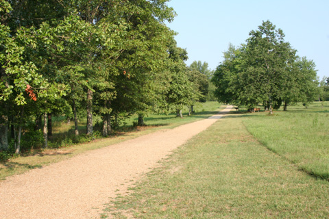 Cowpens National Battlefield_a0097322_7333955.jpg