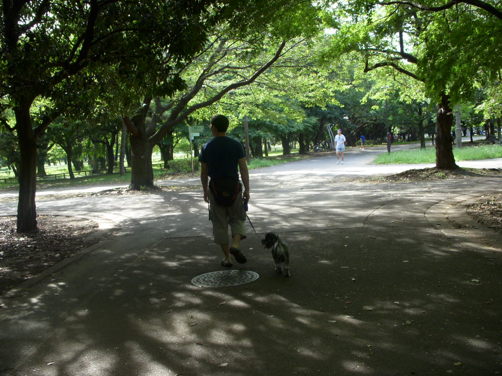 e0109622_15364082.jpg