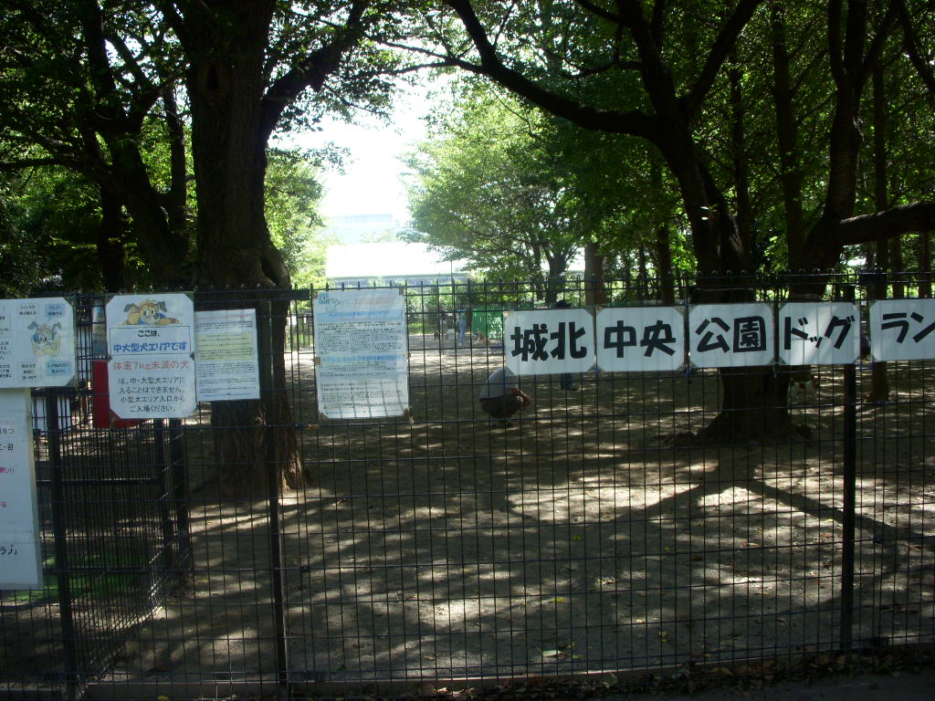e0109622_15435743.jpg