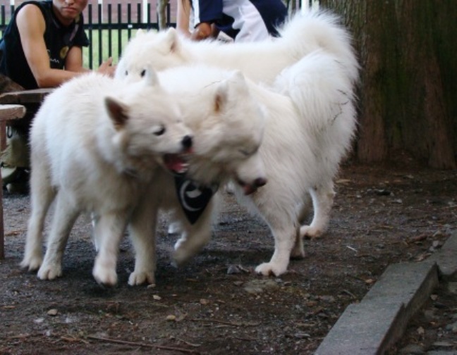 e0024126_11124810.jpg