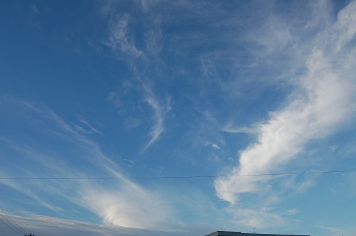 b0097729_23451737.jpg