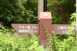d0055236_2249121.jpg