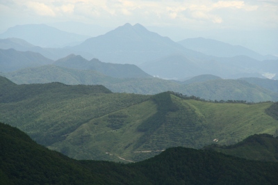 d0055236_23192359.jpg