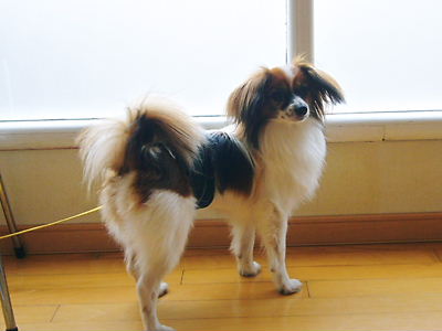 e0100046_1565342.jpg