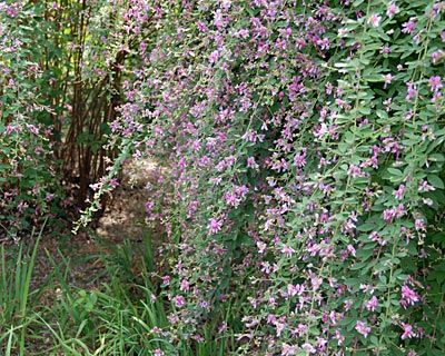 e0035757_22331922.jpg
