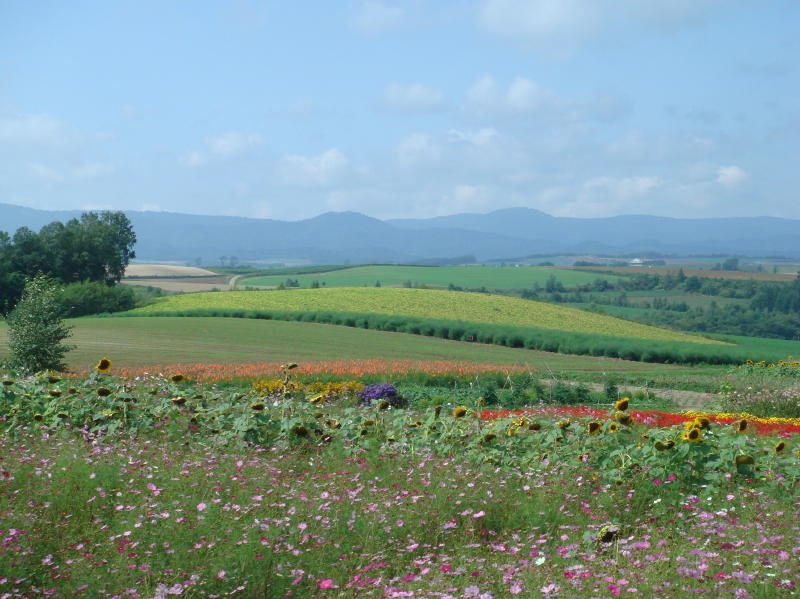 c0108460_12494226.jpg