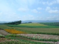 c0108460_12501230.jpg