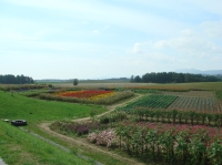 c0108460_12504627.jpg