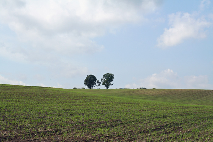e0086860_22205021.jpg