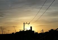 f0139963_5515345.jpg