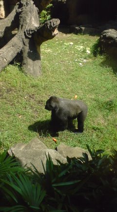 上野動物園_a0006364_11174041.jpg