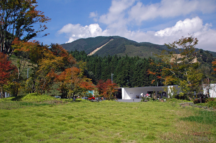 d0038372_21295830.jpg