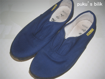 富士登山 建さん Puku S Bilik