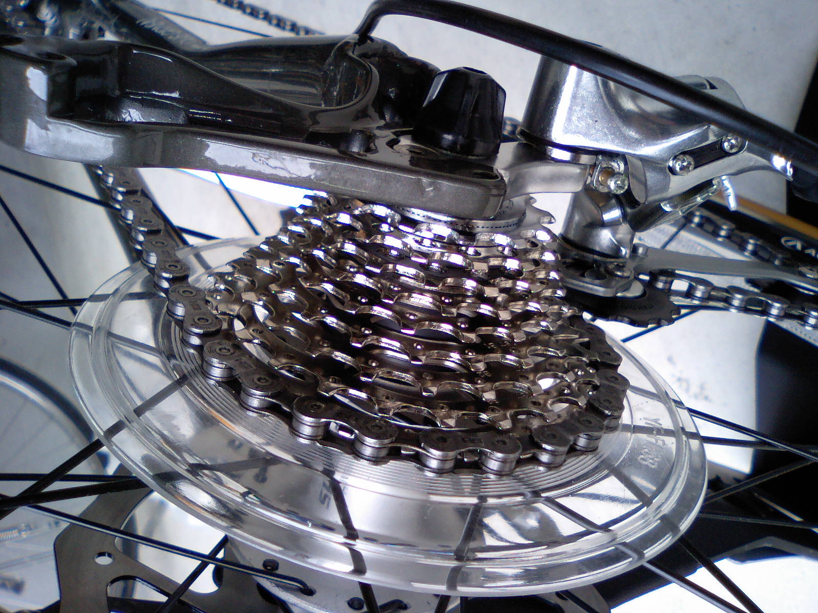 a0065774_169590.jpg