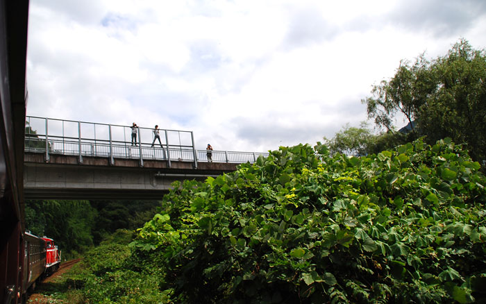 c0009981_20427.jpg