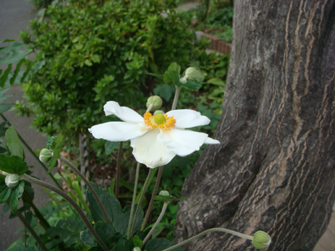 f0146493_1045512.jpg