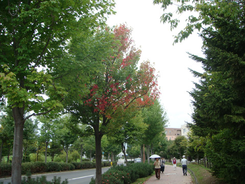 f0146493_1062910.jpg
