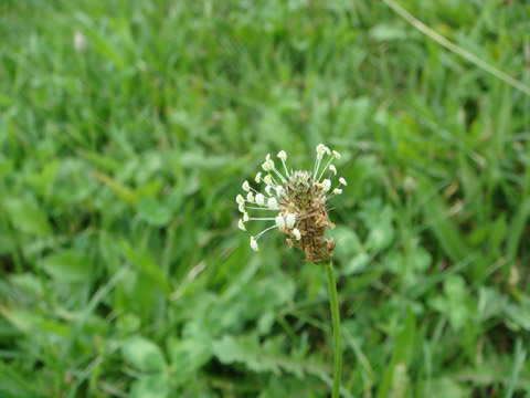 f0146493_1071576.jpg
