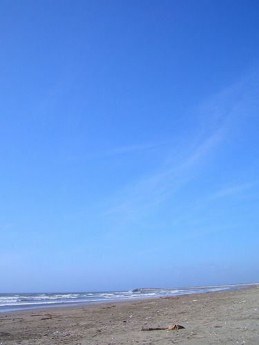 d0121294_1937578.jpg