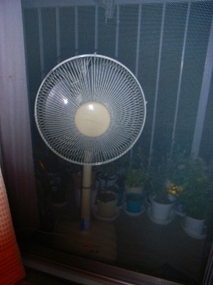 扇風機はお外_e0114895_17565922.jpg