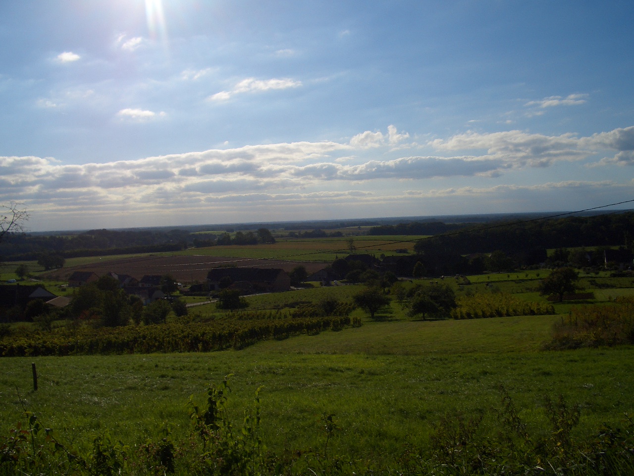 フランスの田舎の風景_c0104296_531898.jpg