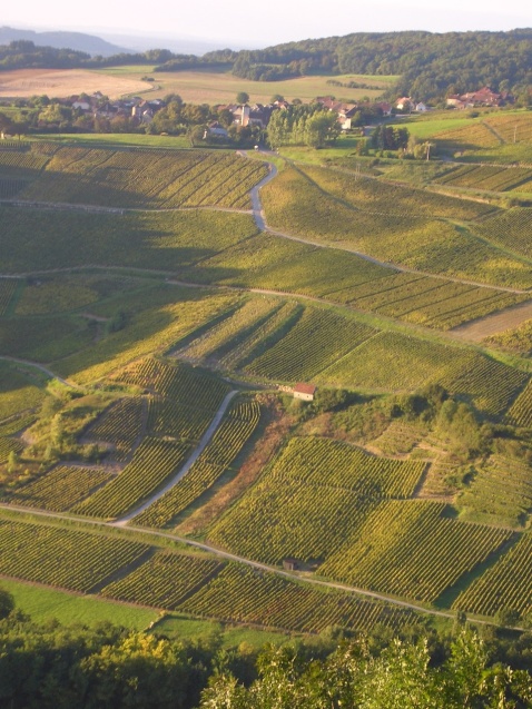 フランスの田舎の風景_c0104296_5325262.jpg