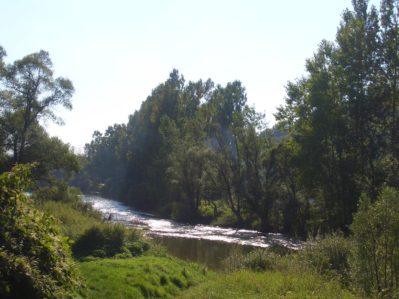 c0104296_54975.jpg