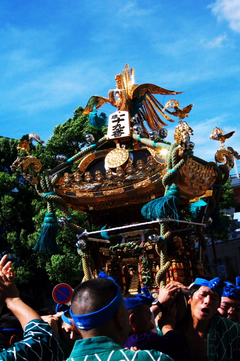 牛嶋神社大祭_a0086797_9434898.jpg