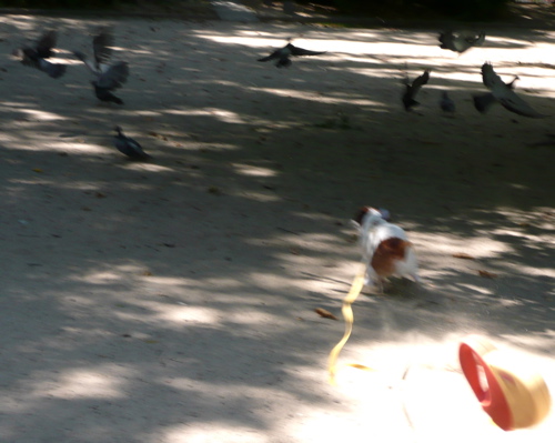 f0146198_23315383.jpg