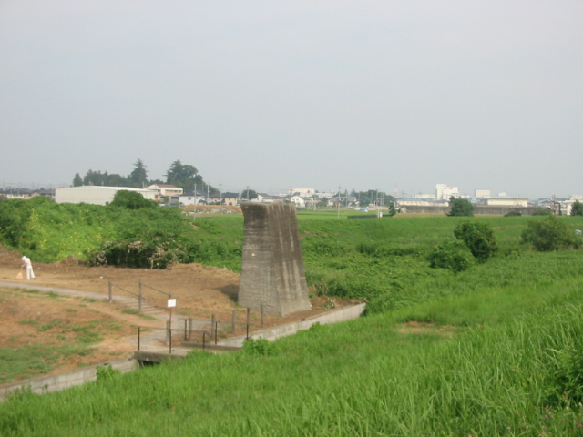 特急カメ号_f0138807_10493822.jpg