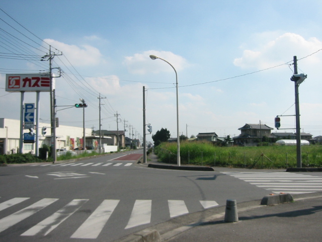 特急カメ号_f0138807_11102617.jpg