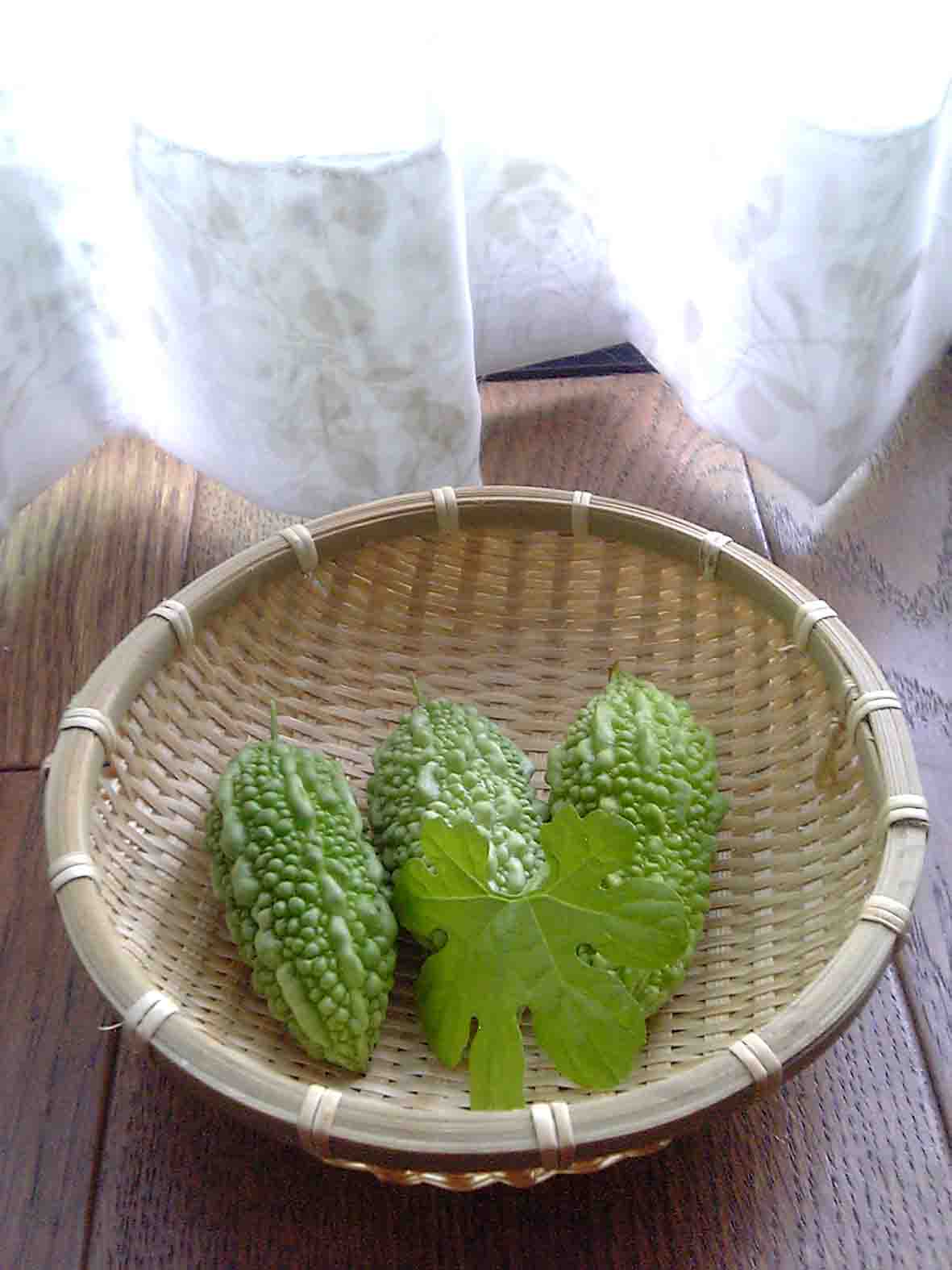 収穫_c0136419_2324455.jpg