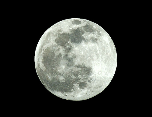 a0106634_20292747.jpg