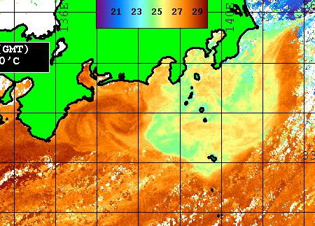 本州太平洋岸の潮は　相変わらず・・・・　　　　　　　[カジキ・マグロトローリング]_f0009039_1047670.jpg
