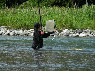 a0056140_10594080.gif