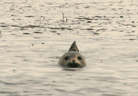 e0080452_22173035.jpg