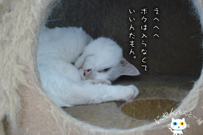 キレイ、キレイ_e0031853_19313261.jpg