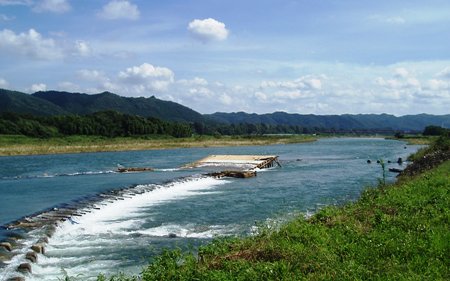 那珂川の鮎_c0127460_22482958.jpg